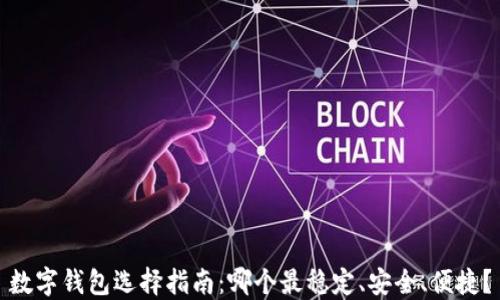 
數(shù)字錢包選擇指南：哪個最穩(wěn)定、安全、便捷？