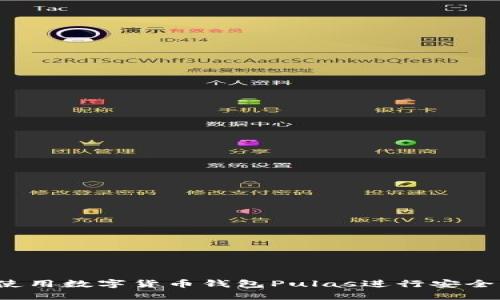 如何使用數(shù)字貨幣錢包Pulas進(jìn)行安全交易？