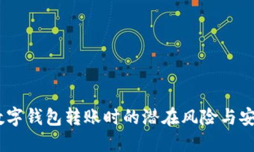 小心！數(shù)字錢包轉(zhuǎn)賬時(shí)的潛在風(fēng)險(xiǎn)與安全措施
