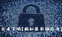 小狐錢包出幣了嗎？揭秘