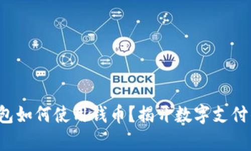 數(shù)字錢(qián)包如何使用錢(qián)幣？揭開(kāi)數(shù)字支付的奧秘！