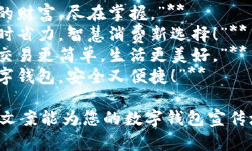 ### 數(shù)字錢包創(chuàng)意文案

1. **“輕松支付，精彩生活！”**
2. **“你的財富，盡在掌握?！?*
3. **“省時省力，智慧消費新選擇！”**
4. **“讓交易更簡單，生活更美好。”**
5. **“數(shù)字錢包，安全又便捷！”**

希望這些文案能為您的數(shù)字錢包宣傳增添靈感！