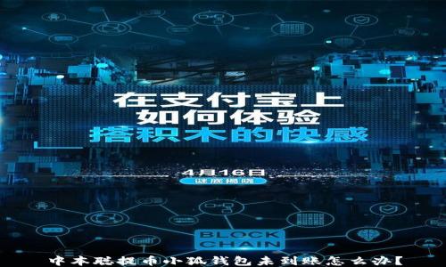 
中本聰提幣小狐錢包未到賬怎么辦？