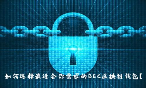 如何選擇最適合你需求的BEC區(qū)塊鏈錢包？