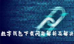 伊朗數(shù)字錢包下載問題解