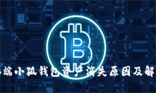 : 電腦端小狐錢包資產(chǎn)消失原因及解決方法