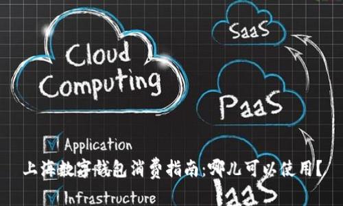 上海數(shù)字錢包消費指南：哪兒可以使用？