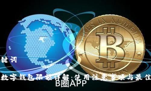 和關(guān)鍵詞

對(duì)公數(shù)字錢包限額詳解：使用注意事項(xiàng)與最佳實(shí)踐