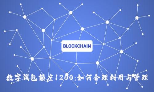 數(shù)字錢(qián)包額度1200：如何合理利用與管理