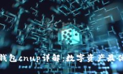 小狐錢包c(diǎn)nup詳解：數(shù)字資