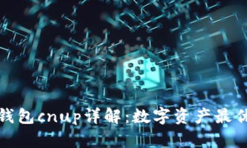 小狐錢包c(diǎn)nup詳解：數(shù)字資產(chǎn)最優(yōu)選擇
